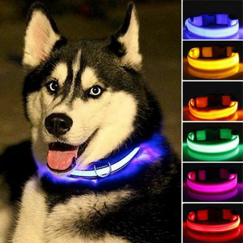 Drivaro LED Light-Up Dog Collar (2-Pack)
