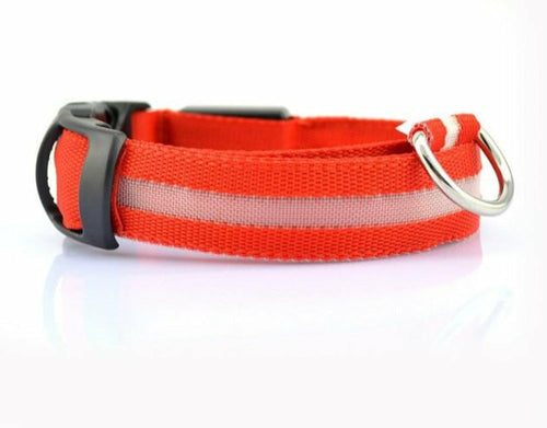Drivaro LED Light-Up Dog Collar (2-Pack)