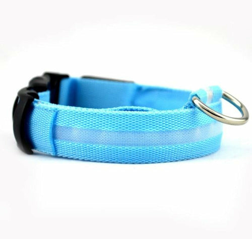 Drivaro LED Light-Up Dog Collar (2-Pack)