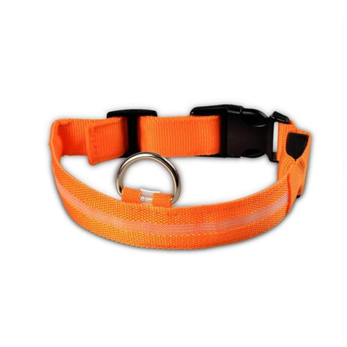 Drivaro LED Light-Up Dog Collar (2-Pack)