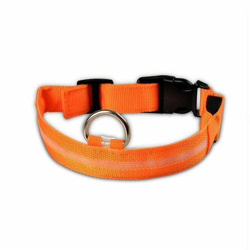Drivaro LED Light-Up Dog Collar (2-Pack)