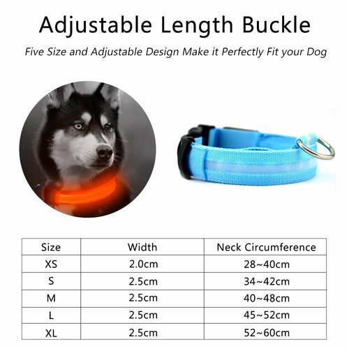 Drivaro LED Light-Up Dog Collar (2-Pack)